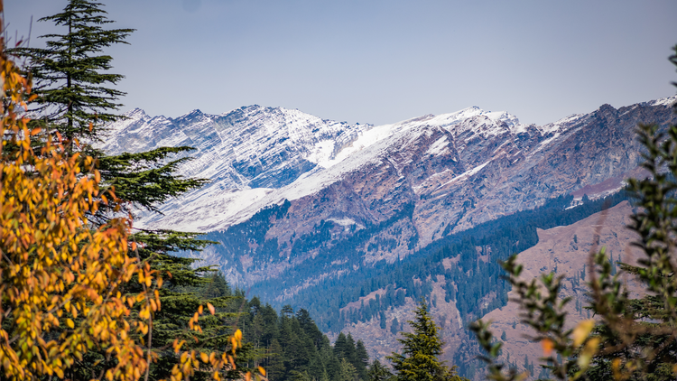 PREP COLD BREW – Instant Protein Coffee